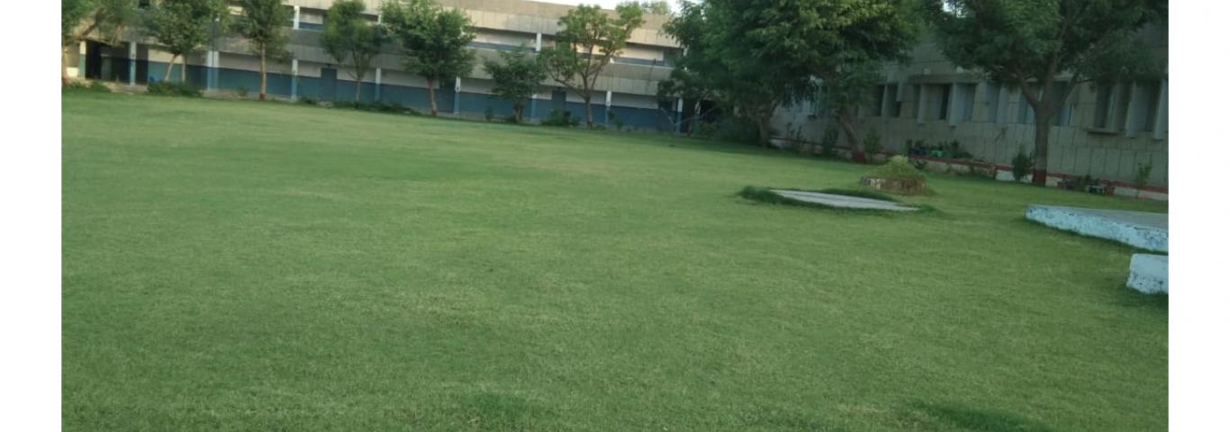 A beautiful lawn in the campus